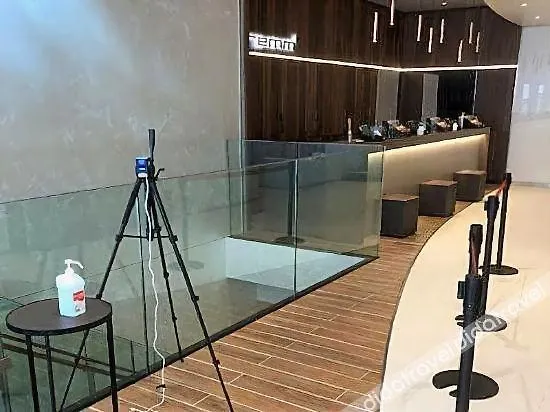 **** 酒店 银座雷姆plus酒店 東京都 日本
